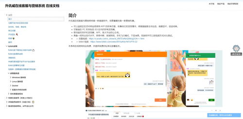 从0到1 一位程序员用免费在线客服系统趟出的推广之路