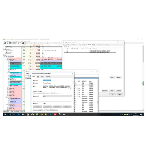 可疑进程Registry与系统安全性分析 木马还是系统进程？